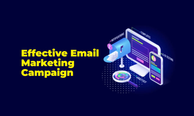 Expert Guide to Effective Email Marketing: Start & Grow